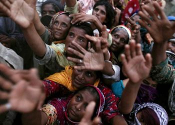 ¿Qué pasará en el mundo con falta de comida?