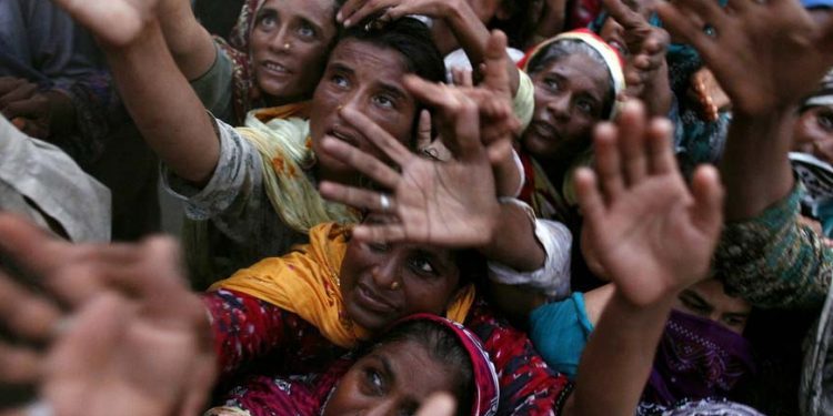 ¿Qué pasará en el mundo con falta de comida?