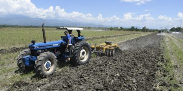 Agricultura prepara 190 mil tareas de tierra para siembra masiva de habichuela en región Suroeste