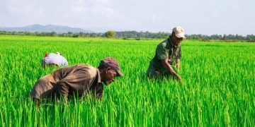 Más de 450 productores agropecuarios son beneficiados por el Inespre
