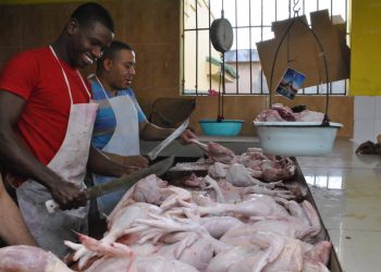Autoridades agropecuarias garantizan abundancia de pollo en Navidad y Año Nuevo