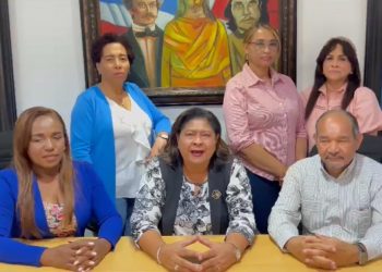 Autoridades del Colegio de enfermería desautorizan llamado a paro en la región Sur