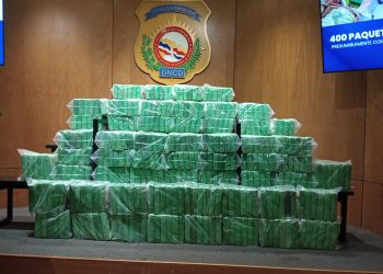 EN UNA CARGA QUE SIMULABA SER GUINEOS OCUPAN 400 PAQUETES SE PRESUME COCAÍNA