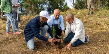 Medio Ambiente y UTEPDA entregan 91 certificados con derecho a corte en Baoruco e Independencia