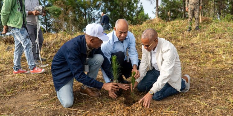 Medio Ambiente y UTEPDA entregan 91 certificados con derecho a corte en Baoruco e Independencia