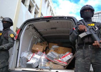 FRUSTRAN ENVÍO DE 180 PAQUETES  A ESPAÑA CAMUFLADOS EN CARGA DE FRUTAS
