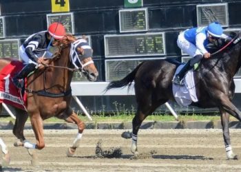 Hipódromo V Centenario celebra  29 aniversario y será dedicado al cantante Niní Cáffaro
