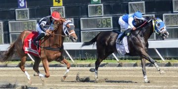 Hipódromo V Centenario celebra  29 aniversario y será dedicado al cantante Niní Cáffaro