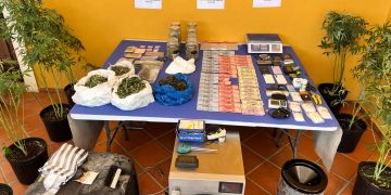 DNCD DESMANTELA EN CASA DEL SECTOR LA TORRE DE LA VEGA INVERNADERO PARA CULTIVAR MARIHUANA