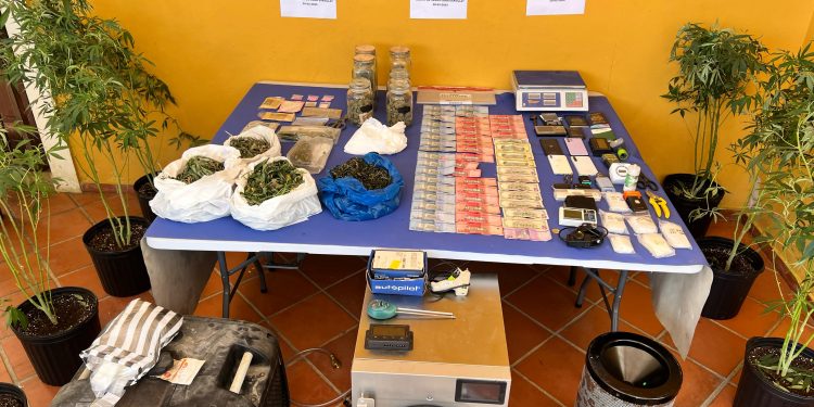 DNCD DESMANTELA EN CASA DEL SECTOR LA TORRE DE LA VEGA INVERNADERO PARA CULTIVAR MARIHUANA