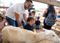 Más de tres mil personas disfrutaron la experiencia “A la Granja sin salir de la ciudad en Sanut”