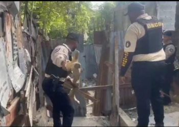 OFENSIVA CONTRA EL MICROTRÁFICO SE FORTALECE AL SACAR DE LAS CALLES MÁS DE 800,000 GRAMOS DE DISTINTAS DROGAS