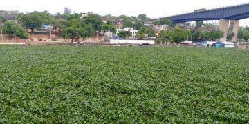 OBRAS PUBLICAS  CIERRA PUENTE FLOTANTE