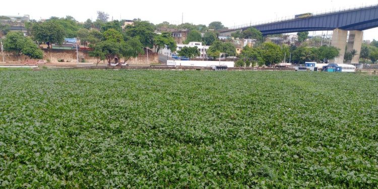 OBRAS PUBLICAS  CIERRA PUENTE FLOTANTE