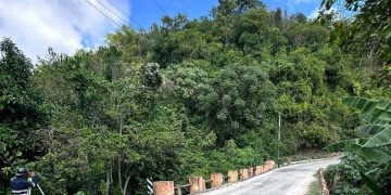Restricción temporal del puente La Mercedita en la carretera Enriquillo- Barahona
