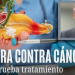 FDA abre una nueva esperanza para pacientes con cáncer de páncreas avanzado