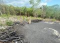 MEDIO AMBIENTE Y SENPA INCAUTAN SACOS DE CARBÓN EN ZONA AGRÍCOLA DE EL GATO, LA NORIA EN LA ROMANA