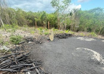 MEDIO AMBIENTE Y SENPA INCAUTAN SACOS DE CARBÓN EN ZONA AGRÍCOLA DE EL GATO, LA NORIA EN LA ROMANA