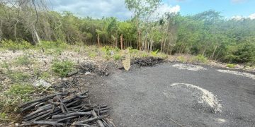 MEDIO AMBIENTE Y SENPA INCAUTAN SACOS DE CARBÓN EN ZONA AGRÍCOLA DE EL GATO, LA NORIA EN LA ROMANA