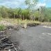 MEDIO AMBIENTE Y SENPA INCAUTAN SACOS DE CARBÓN EN ZONA AGRÍCOLA DE EL GATO, LA NORIA EN LA ROMANA