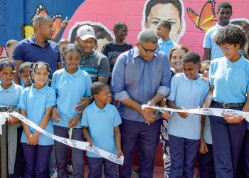 Robert Polanco supervisa Plaza Comunitaria en Bánica; entrega canchas y Paseos de Colores en Elías Piña y San Juan